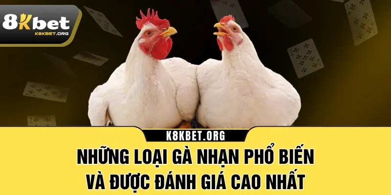 Những loại gà nhạn phổ biến và được đánh giá cao nhất